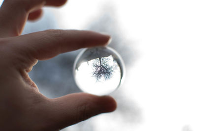 Close-up of human hand holding glass