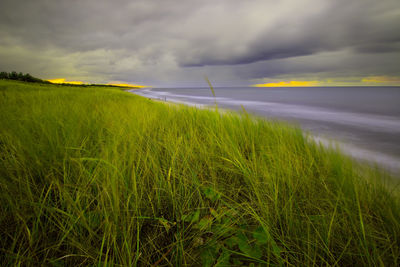 Scenic view of green landscape against cloudy sky