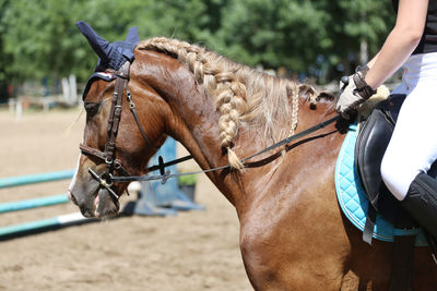 Close-up of horse riding