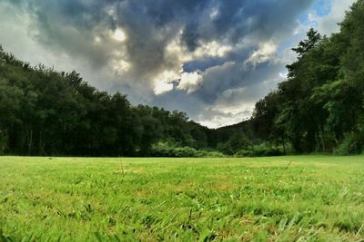 Scenic view of grassy field against cloudy sky