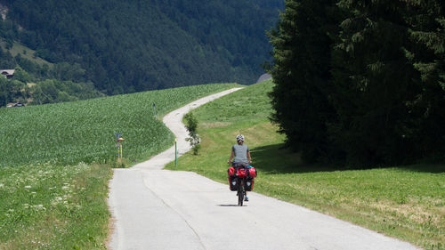 Rear view of man riding bicycle on road