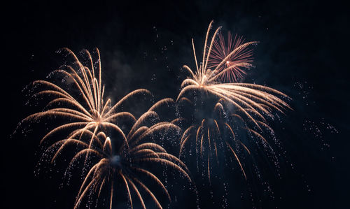 Low angle view of firework display at night