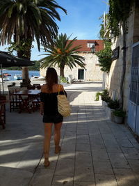 Rear view of man walking on palm tree