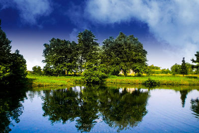 Reflection of trees in lake