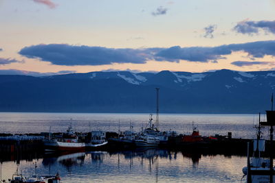 Snowcapped mountainbay