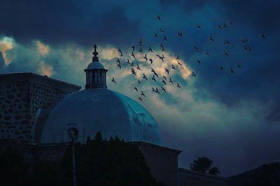 Birds against sky at night