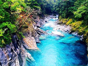 Scenic view of waterfall in forest