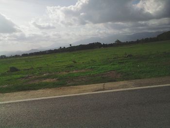 Scenic view of field against sky