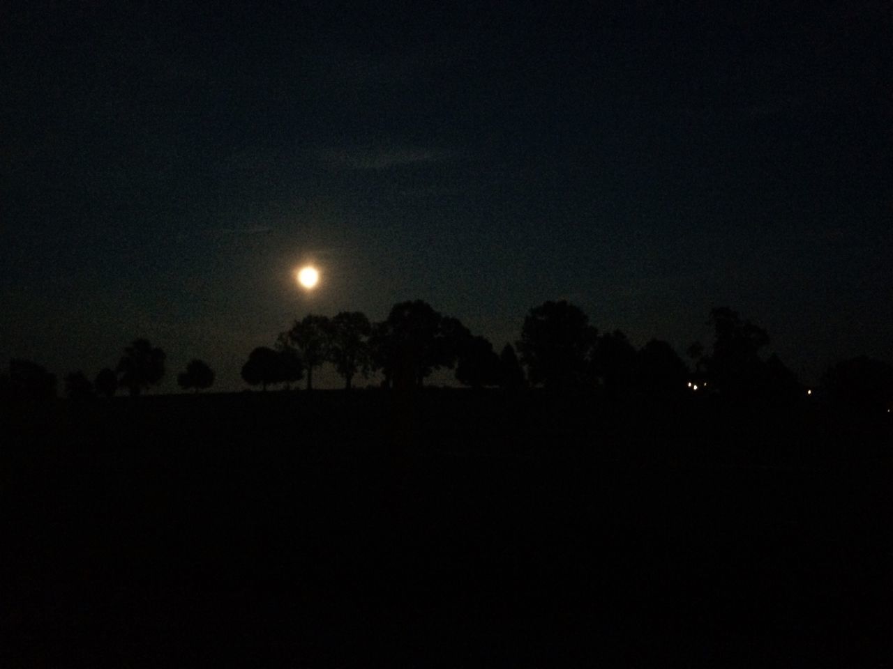 silhouette, tranquil scene, tree, night, tranquility, scenics, moon, landscape, dark, outline, beauty in nature, solitude, nature, remote, full moon, glowing, majestic, calm, non-urban scene, countryside, cloud, outdoors, moonlight, sky, sun, exploration, no people, uncultivated
