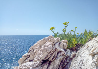 Scenic view of sea against clear blue sky