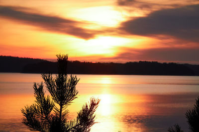 Silhouette tree by lake against romantic sky at sunset