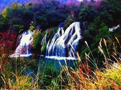 SCENIC VIEW OF WATERFALL