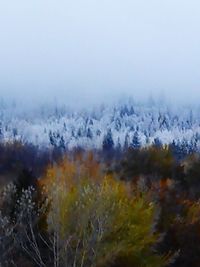 Scenic view of landscape during foggy weather