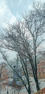 Low angle view of bare tree against sky during winter