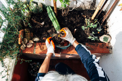 High angle view of man holding potted plant in yard