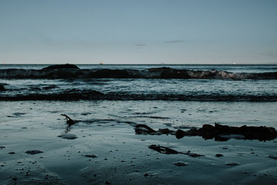 Birds on beach against sky during sunset