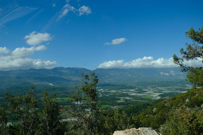 nature