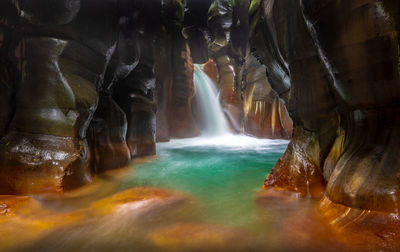 Scenic view of waterfall in forest