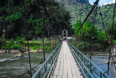 Bridge over river amidst trees in forest