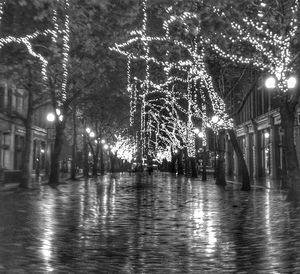 Illuminated street lights by trees in city at night