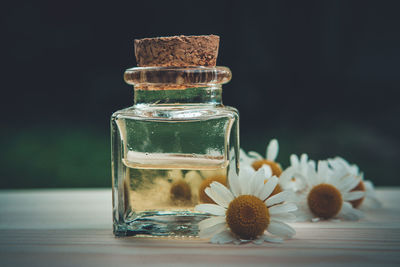 Camomiles and bottle with essential oil