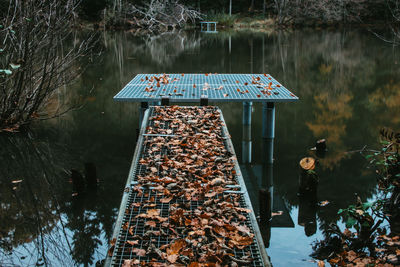 Reflection of trees in lake during autumn 