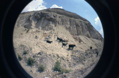 View of landscape