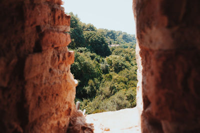 Scenic view of rock formation amidst trees against sky