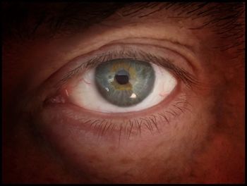 Extreme close up of human eye
