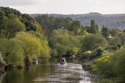 Scenic view of river amidst trees against sky