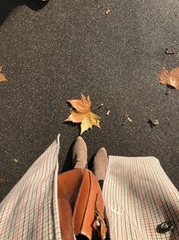 Low section of person with autumn leaves on road