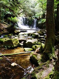 River flowing through rocks