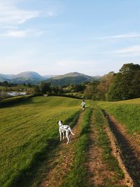 View of a dog and boy on landscape