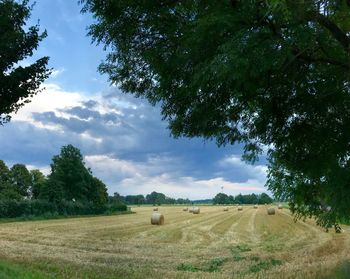 Hay bales on field against sky