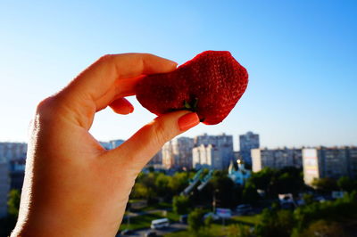 Close-up of hand holding strawberry against clear sky