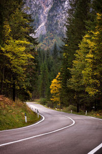 Country road amidst trees in forest