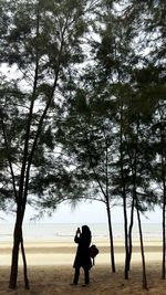 Rear view of people walking on beach