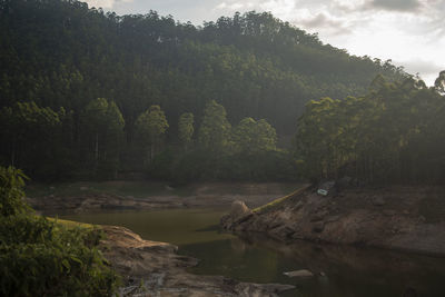 Scenic view of river in forest against sky