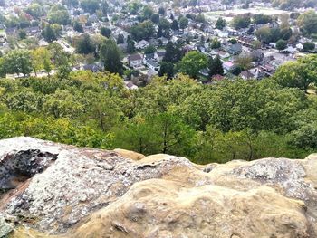 Scenic view of trees and mountains