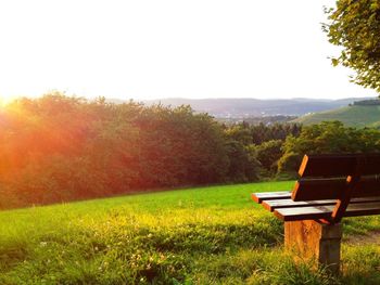 Scenic view of grassy field