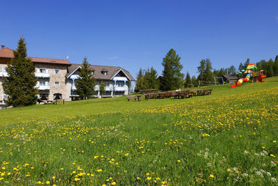 Scenic view of field against clear sky