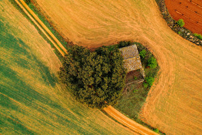 High angle view of agricultural field