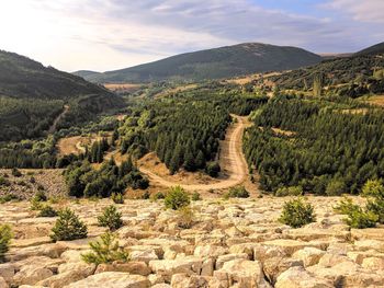 Scenic view of landscape against sky