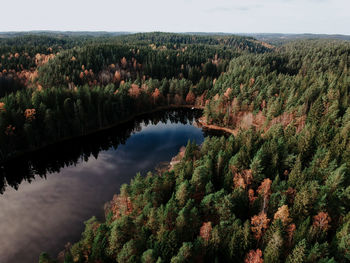 High angle view of plants growing on land against sky