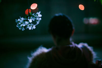 Rear view of man on flowering plant at night