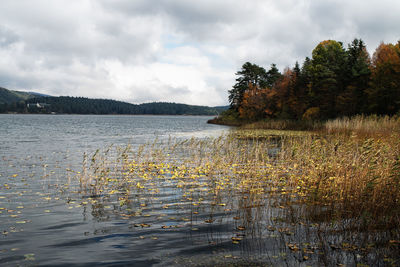 Scenic view of lake against sky during autumn