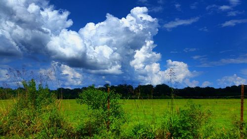 Scenic view of grassy field against cloudy sky