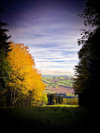 Trees on field against sky during autumn