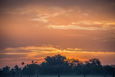 Silhouette trees on field against orange sky