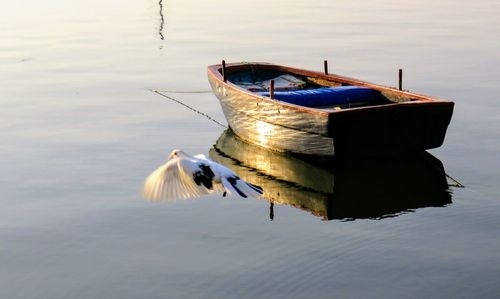 Boat in a lake